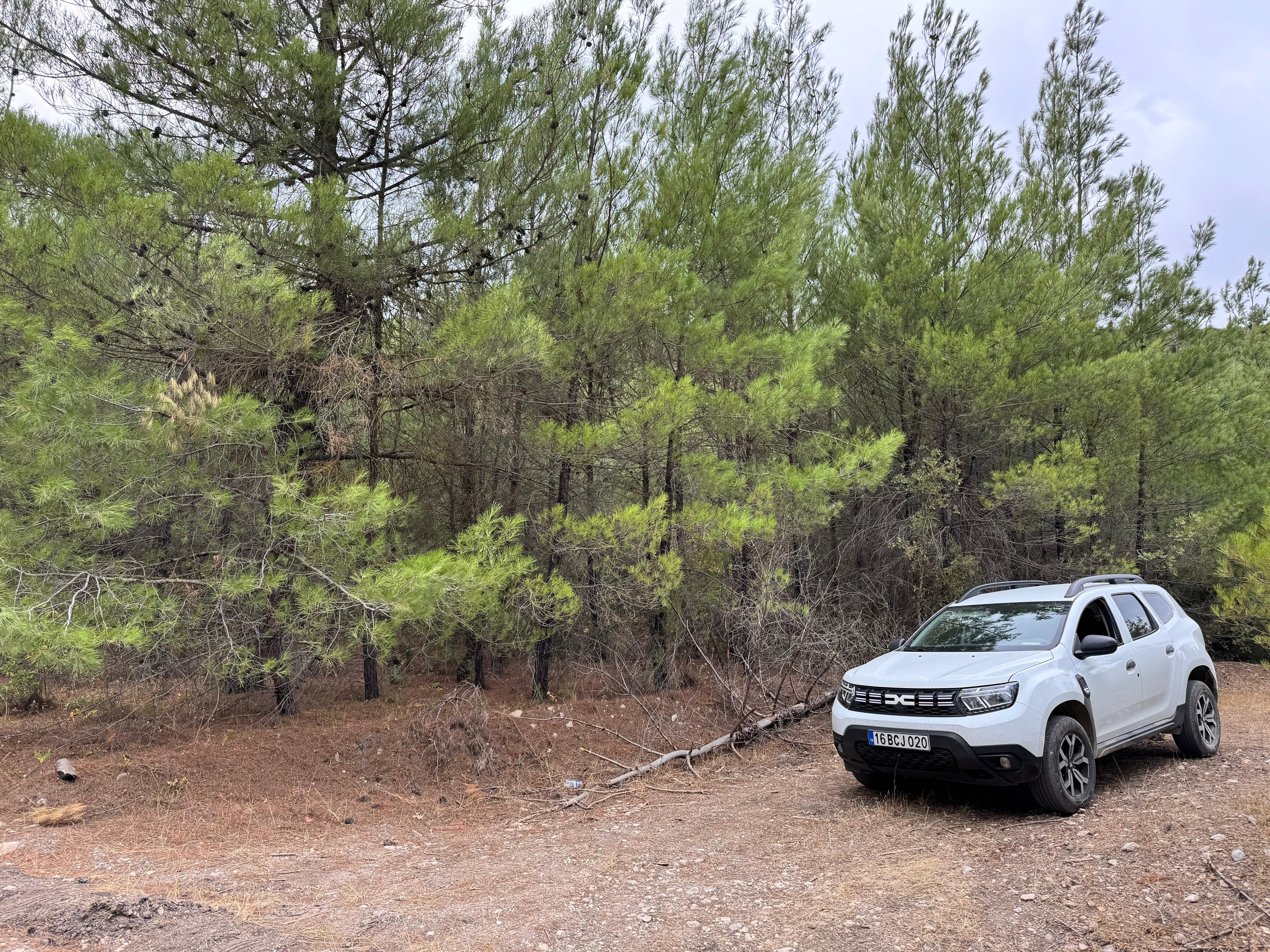 Balıkesir Kepsut Işıklar Satılık Arazi