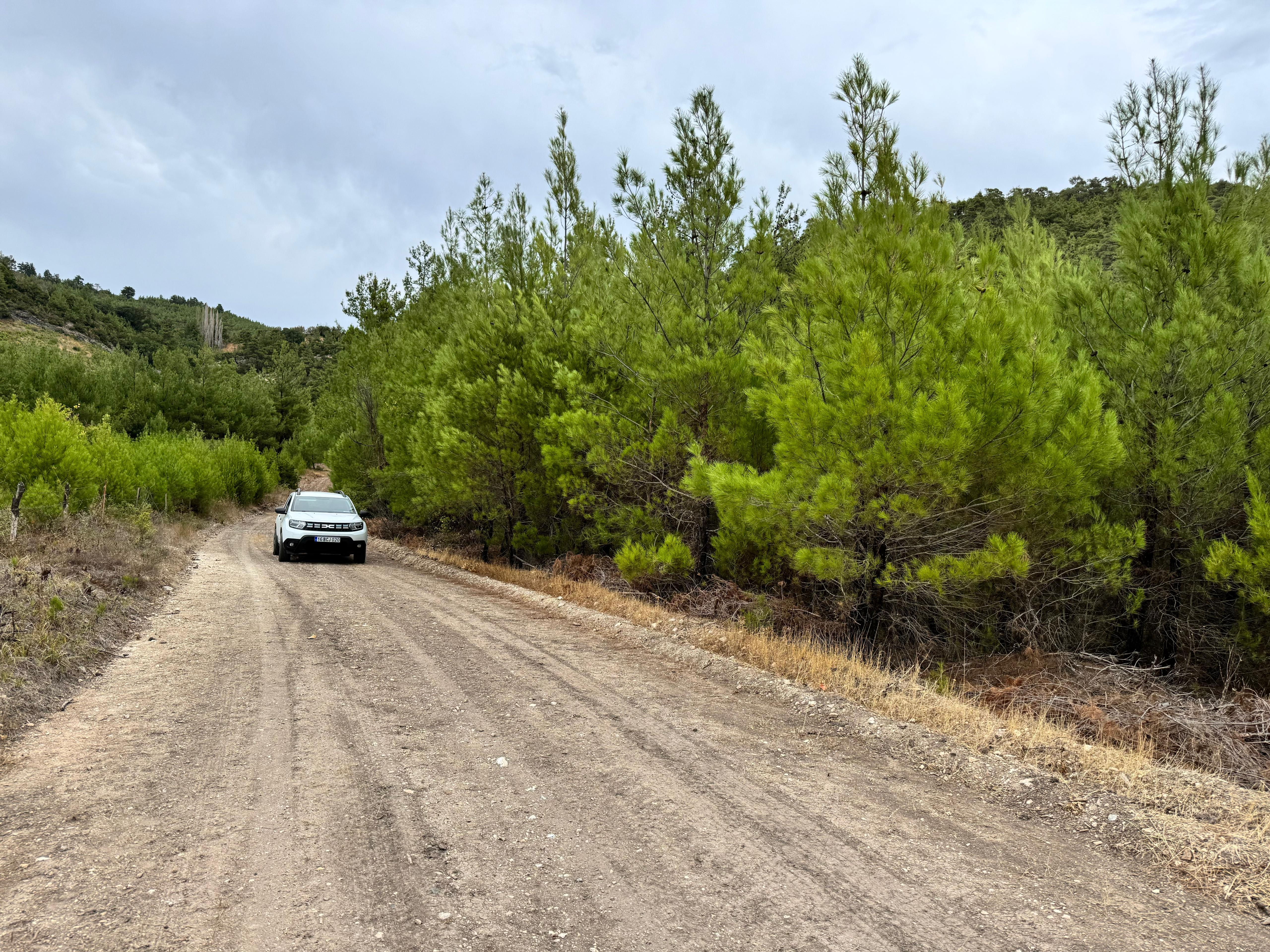 Balıkesir Kepsut Işıklar Satılık Arazi