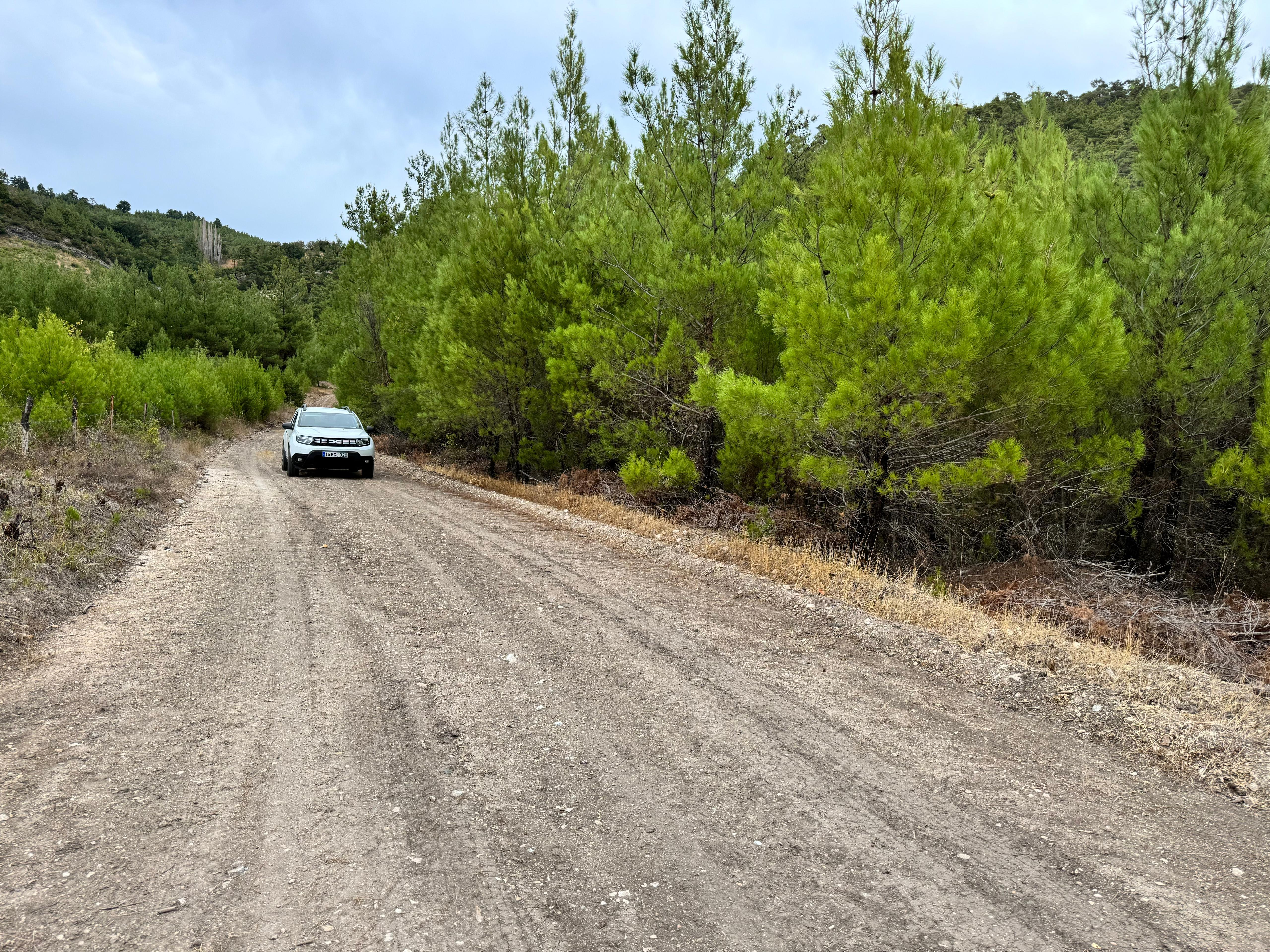 Balıkesir Kepsut Işıklar Satılık Arazi