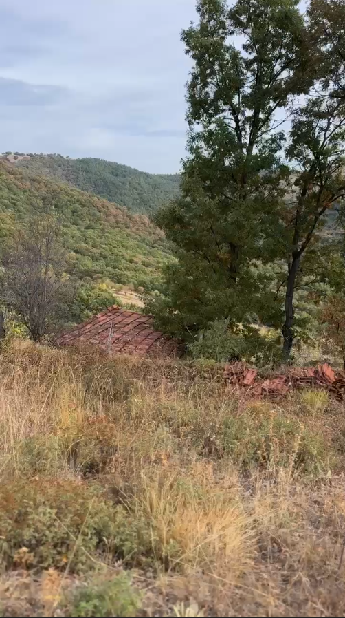 Başarı Yatırım Danışmanlığı - Tarla, Arsa ve Gayrimenkul Yatırımları